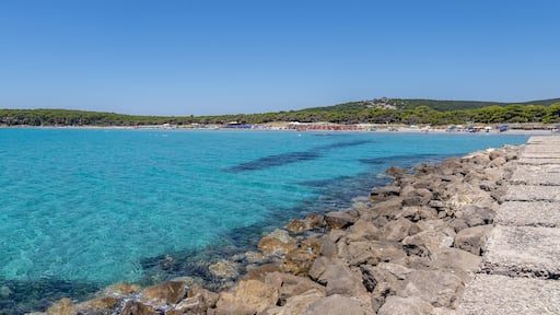 Porto Pino