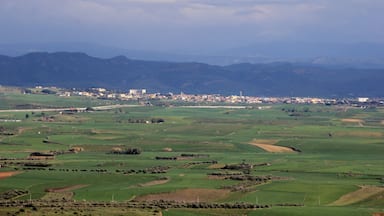 سانلوري