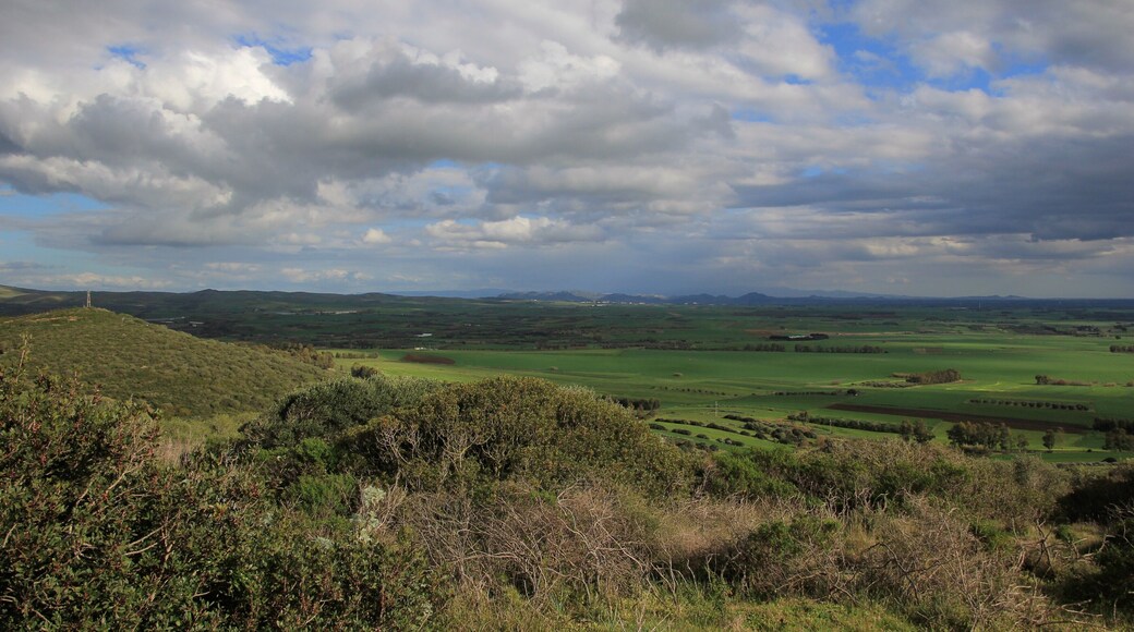 Campidano di Cagliari