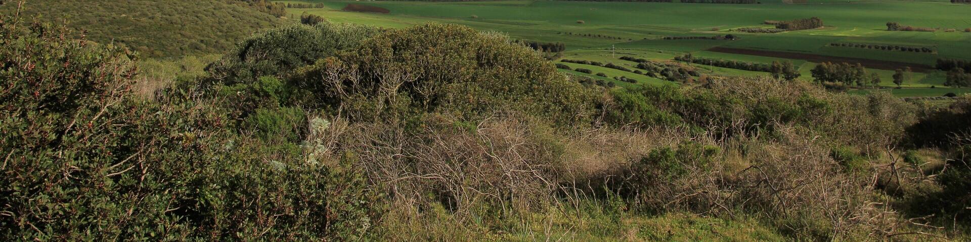 Campidano di Cagliari