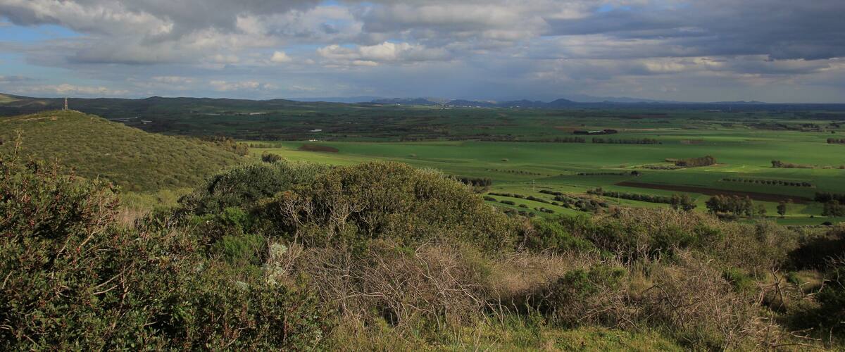 A hilly landscape with rolling green fields and a cloudy sky.