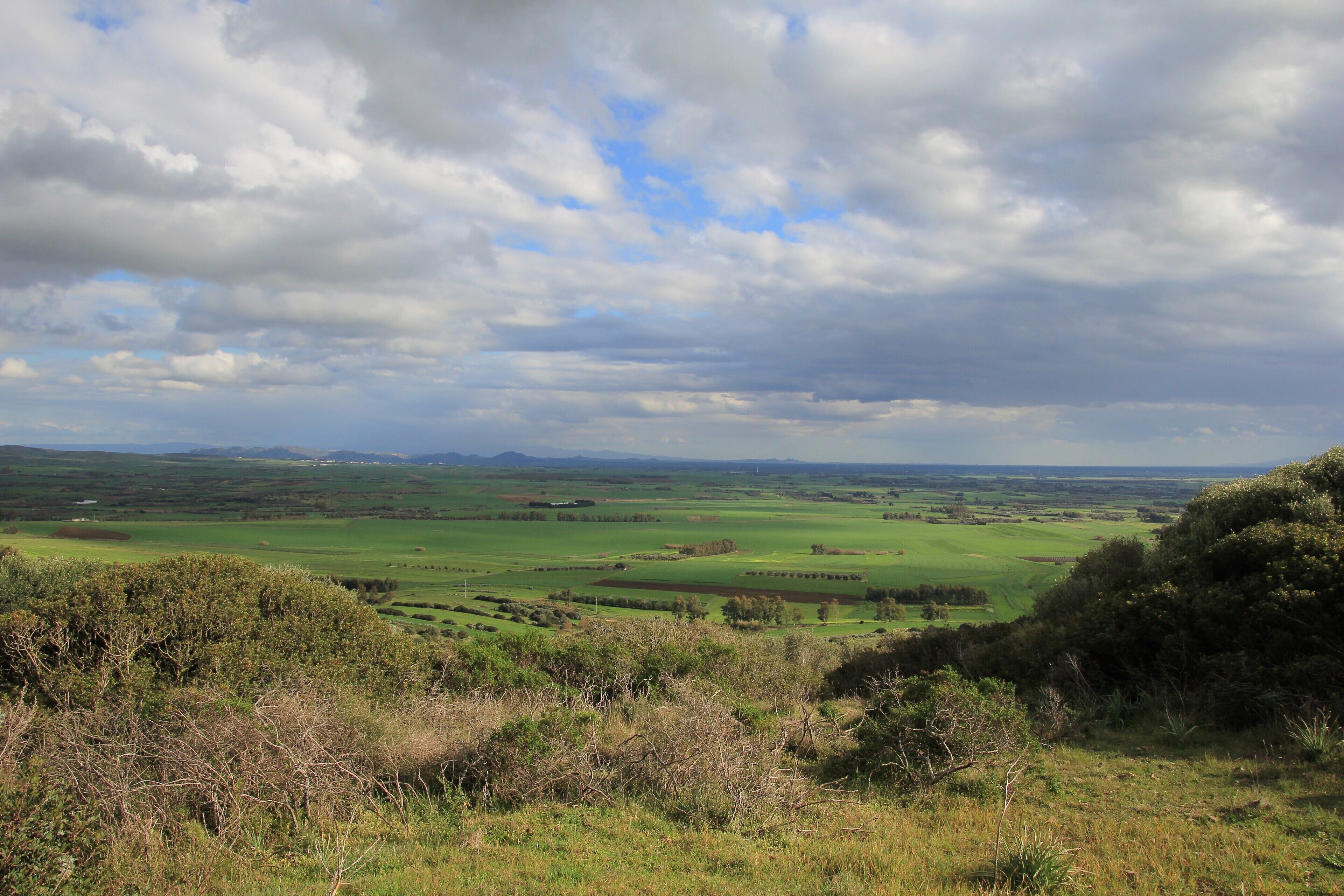 Campidano di Cagliari
