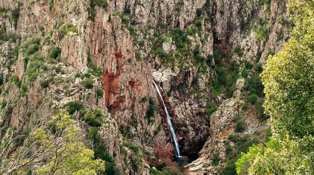 วิลลาซิโดร