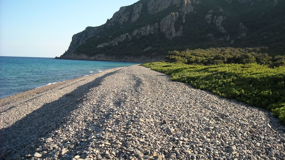 A pebble beach with a mountain in the background.