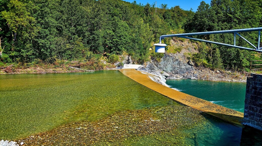 Briglia sul fiume Taro