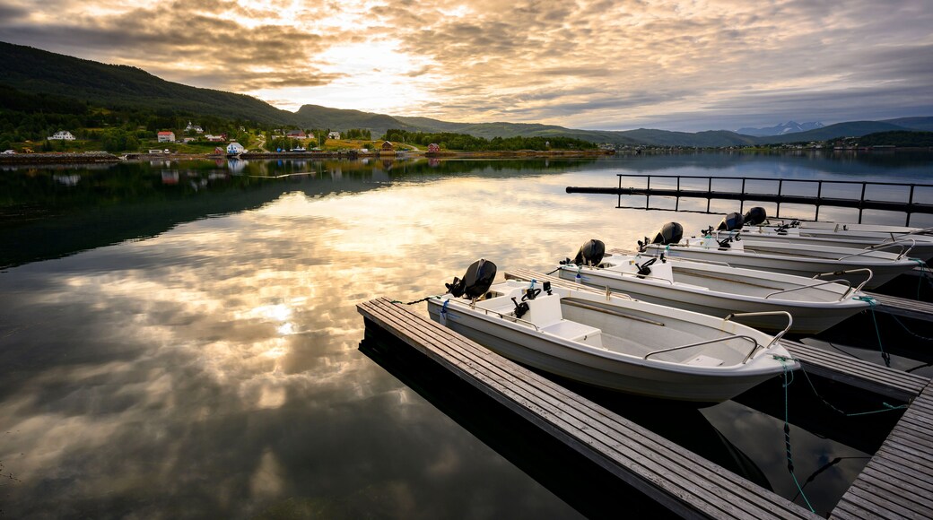 In the morning the boat is rented for fishing and traveling at Sorreisa, Norway.