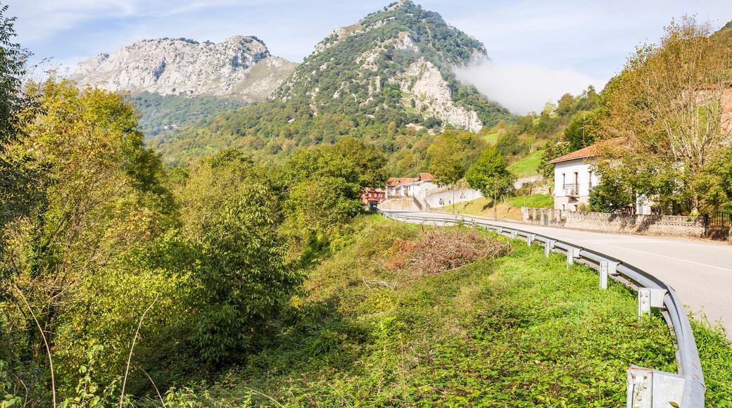 佩尼亚梅列拉尔塔