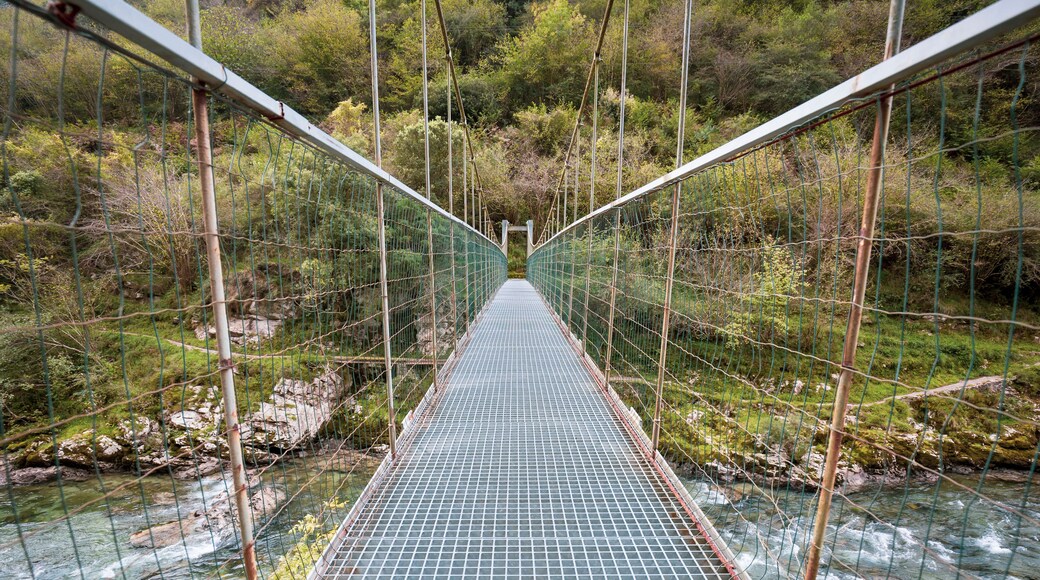 佩尼亚梅列拉尔塔