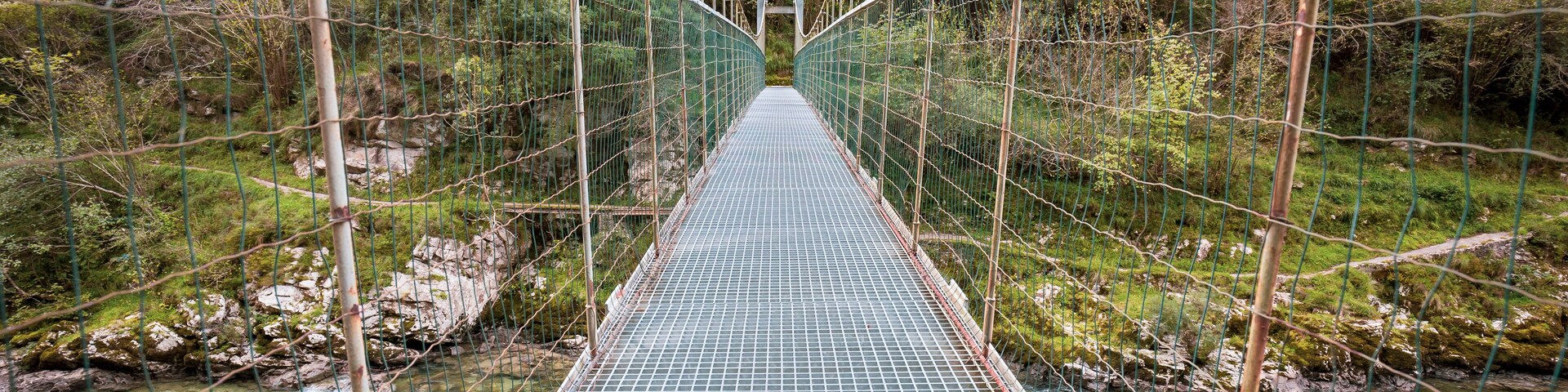 Un puente colgante sobre un río, rodeado de vegetación.