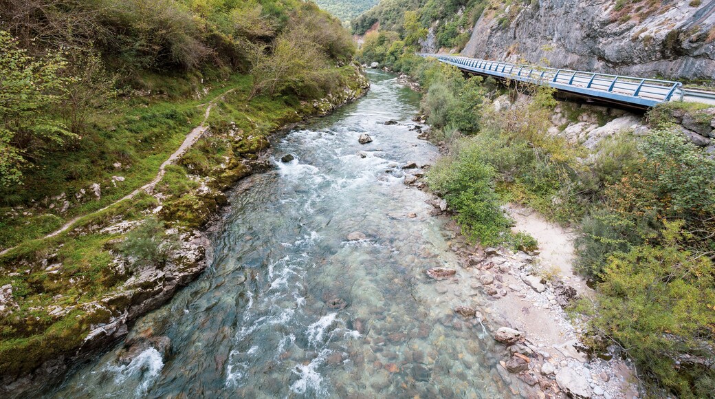 佩尼亚梅列拉尔塔