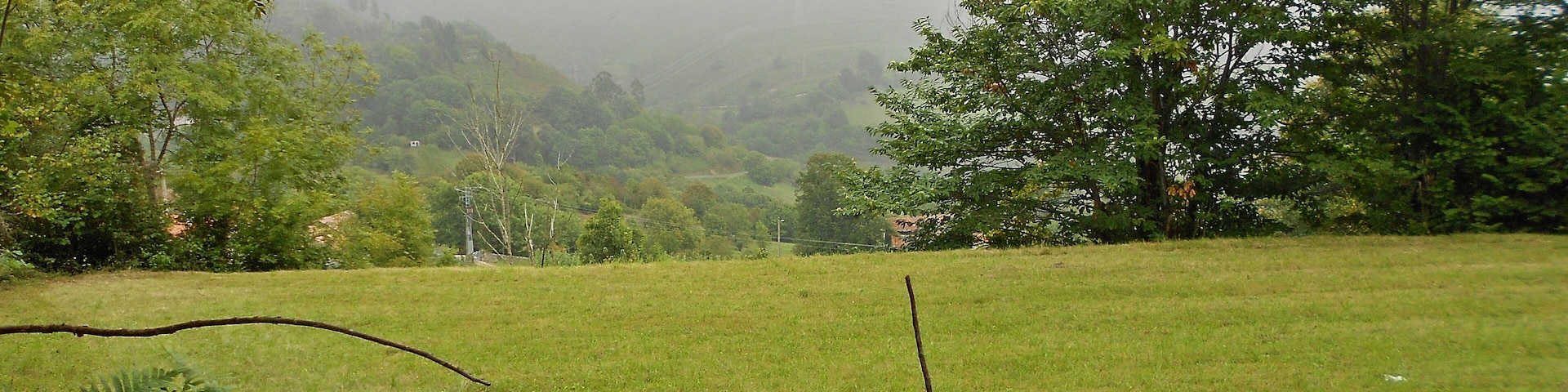 Prado