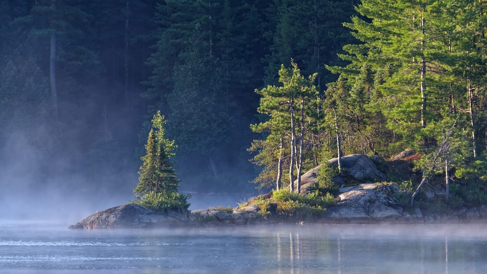 Misty Dawn on Wolf Lake, Temagami, Ontario, Canada