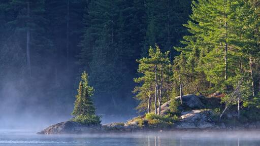 Misty Dawn on Wolf Lake, Temagami, Ontario, Canada