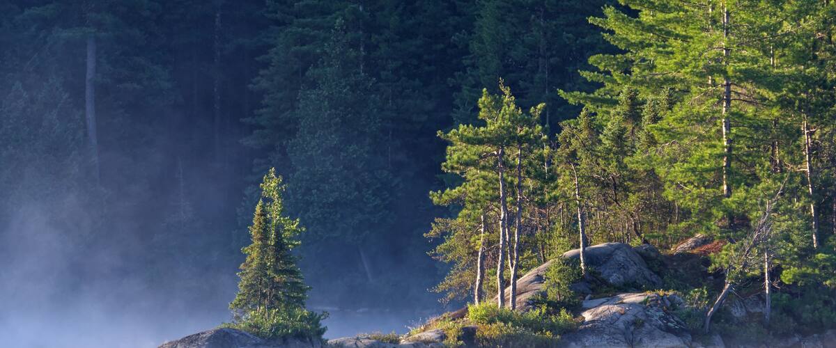 A misty lake surrounded by dense forest and rocky terrain.