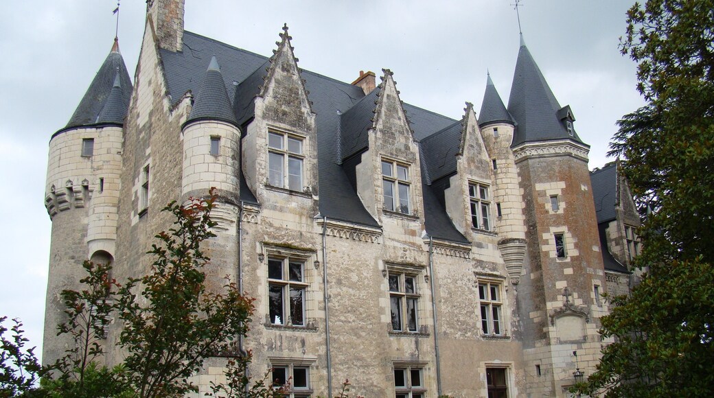 Zamek Branickich w Montresor