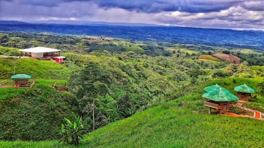 A lush green landscape with rolling hills, a small red building, and traditional huts with thatched roofs.