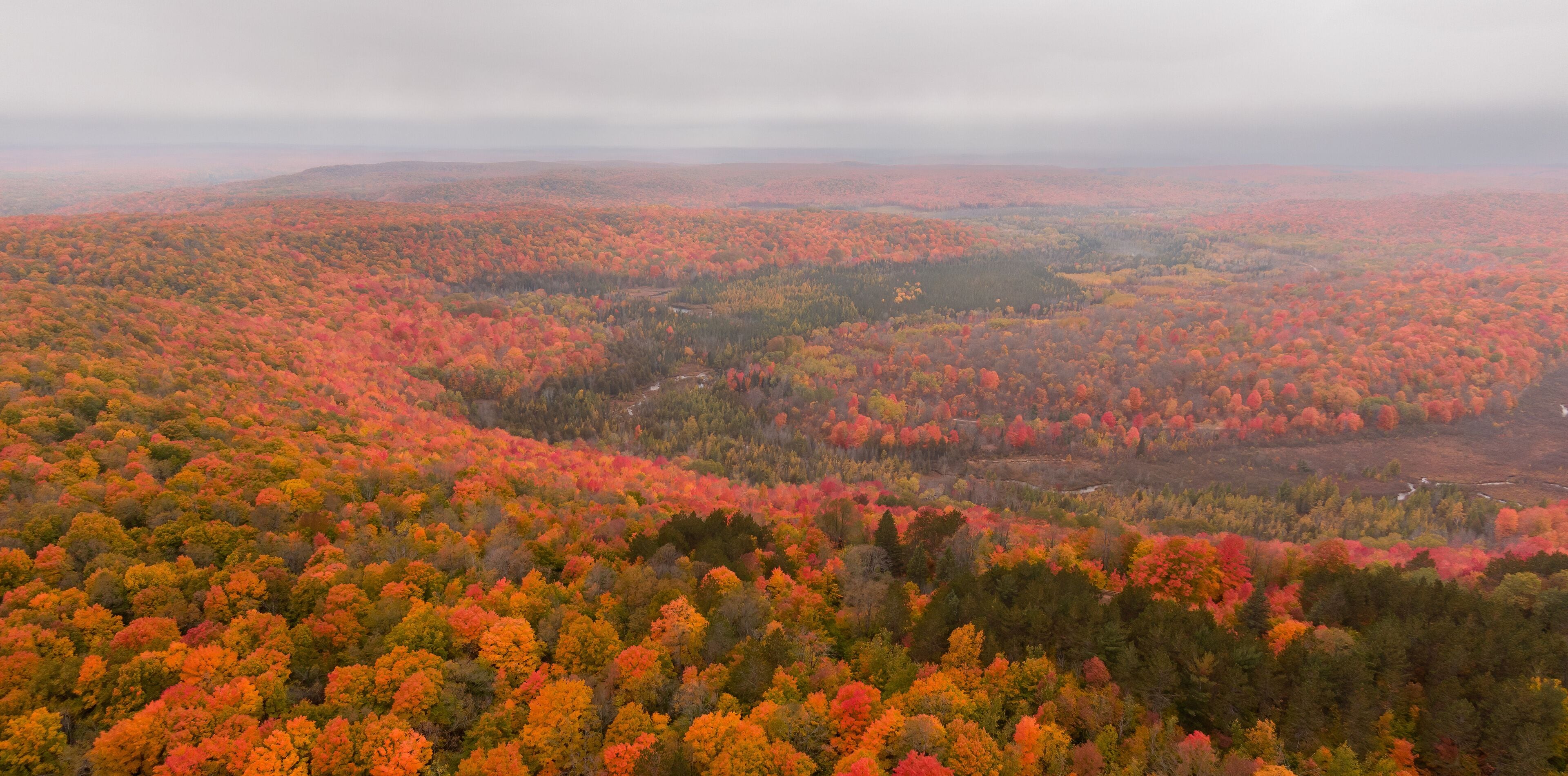 A vast forest with autumn foliage in shades of red, orange, and yellow.