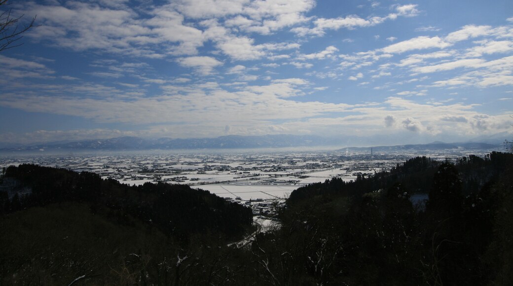 Tagawa, Oyabe, Toyama Prefecture 932-0021, Japan