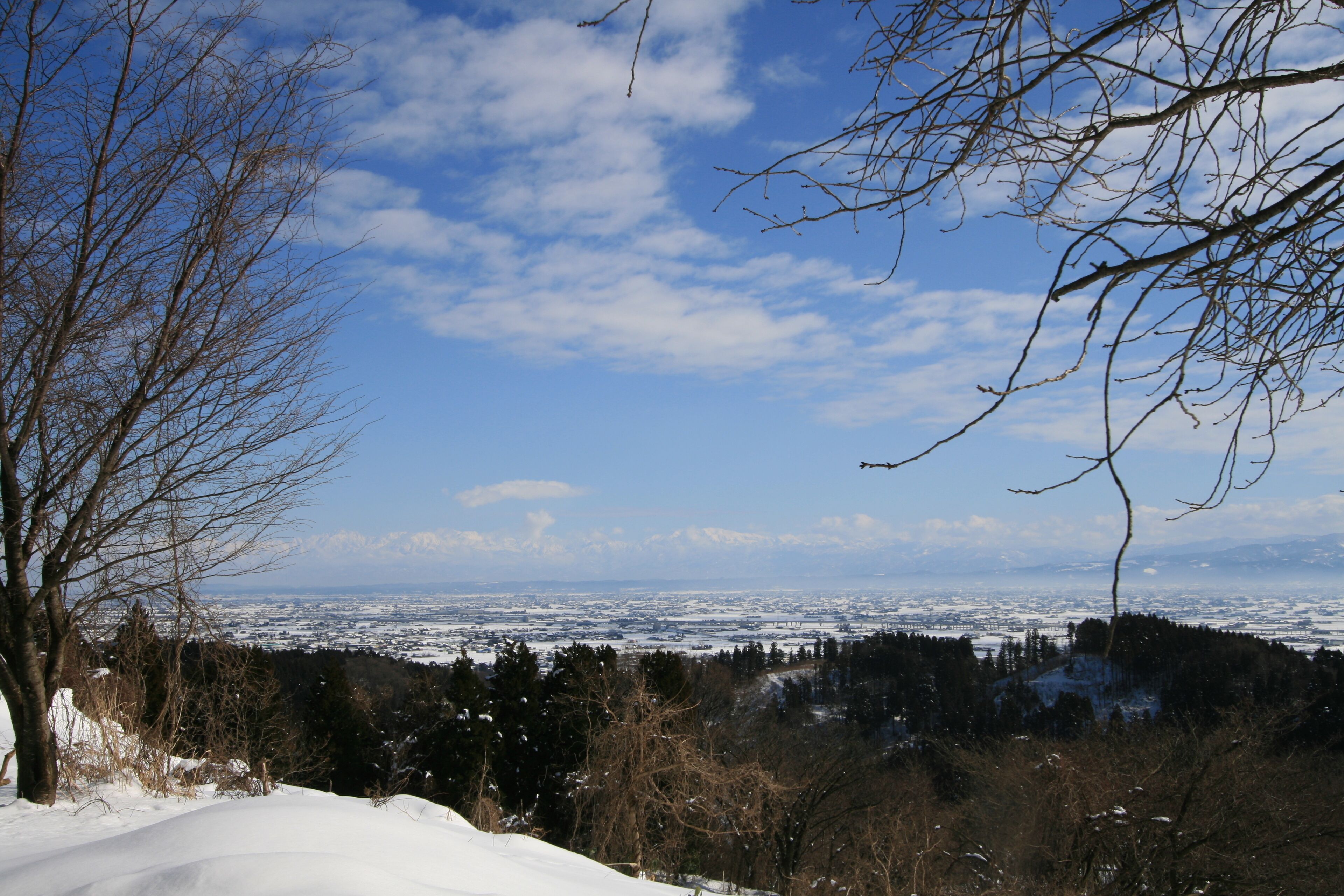 A snowy landscape with a clear sky, leafless trees, and a distant view of a town.