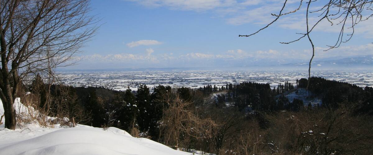 A snowy landscape with a clear sky, leafless trees, and a distant view of a town.