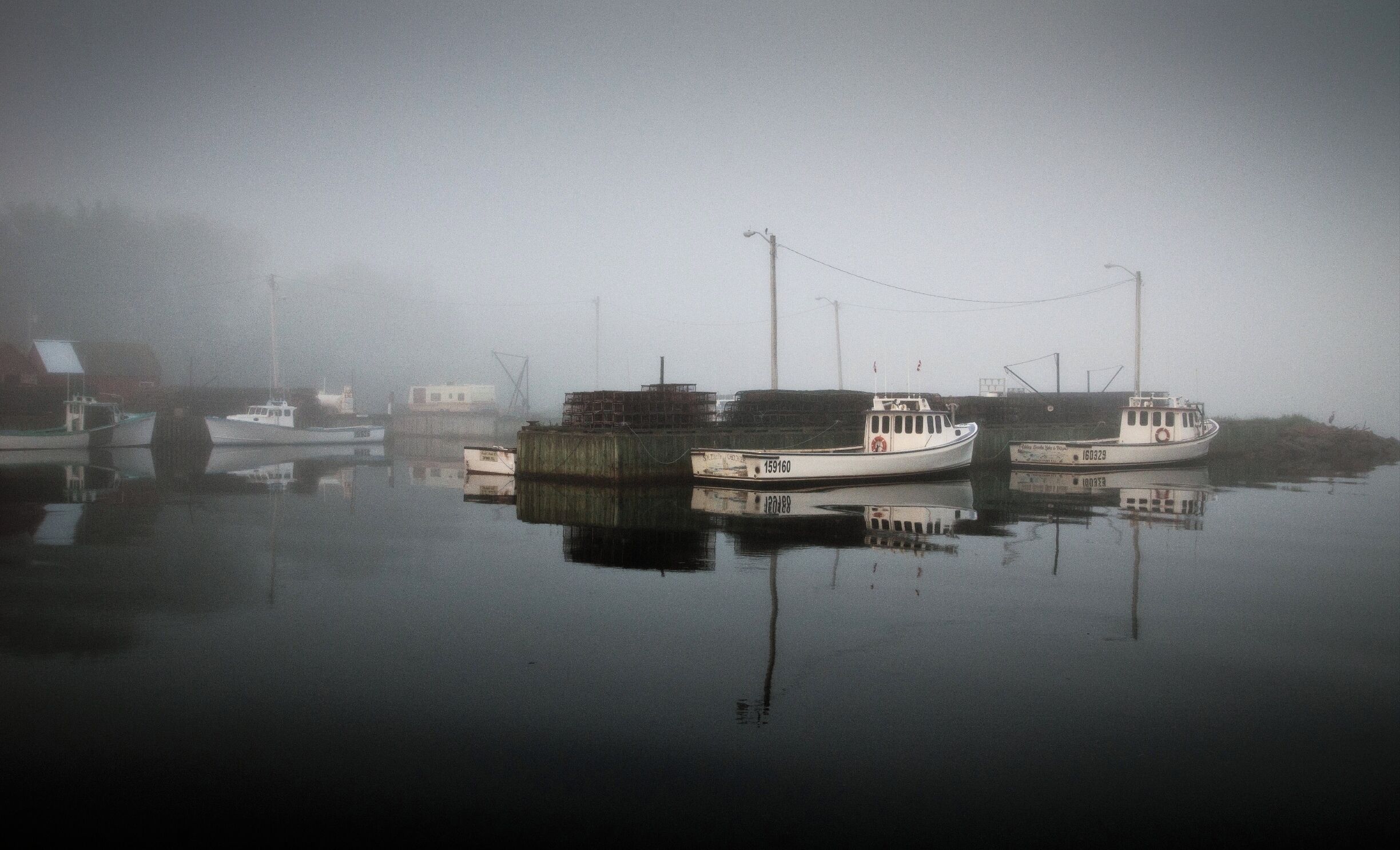 A foggy harbor with several boats docked.
