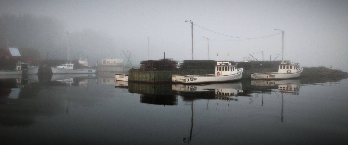 A foggy harbor with several boats docked.