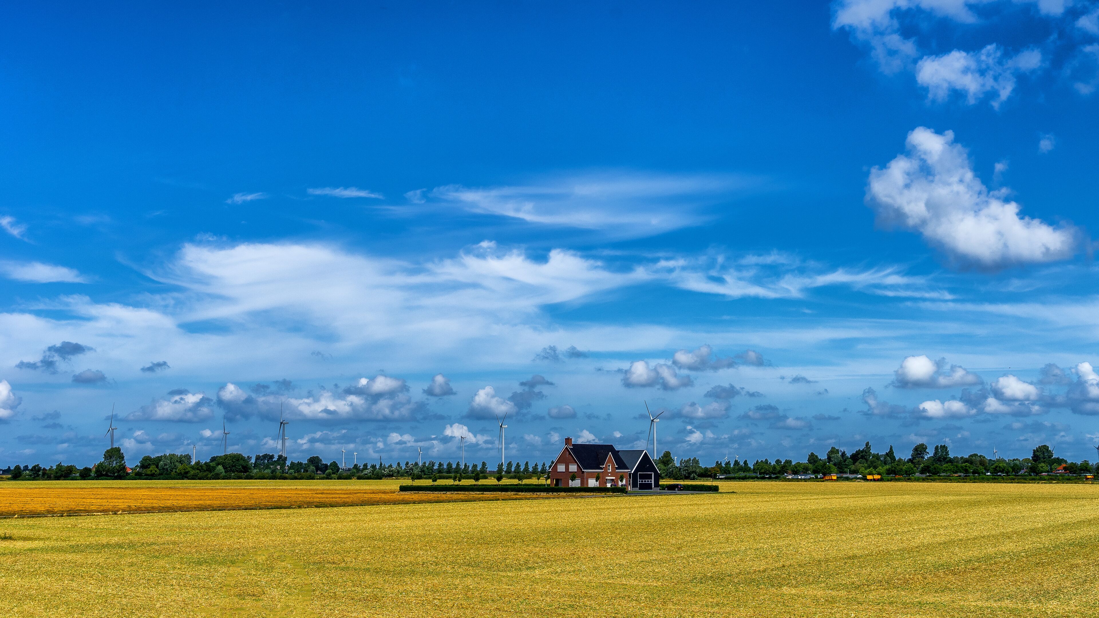 A rural landscape with a house in a golden field, wind turbines in the distance, and a clear blue sky with clouds.