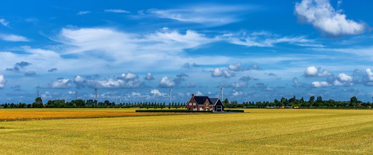 A rural landscape with a house in a golden field, wind turbines in the distance, and a clear blue sky with clouds.