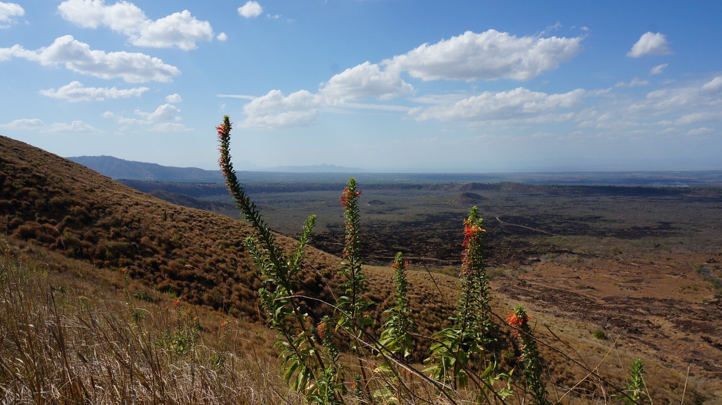 Looking out over the jagged lava fields from the top of Masya Volcano. 