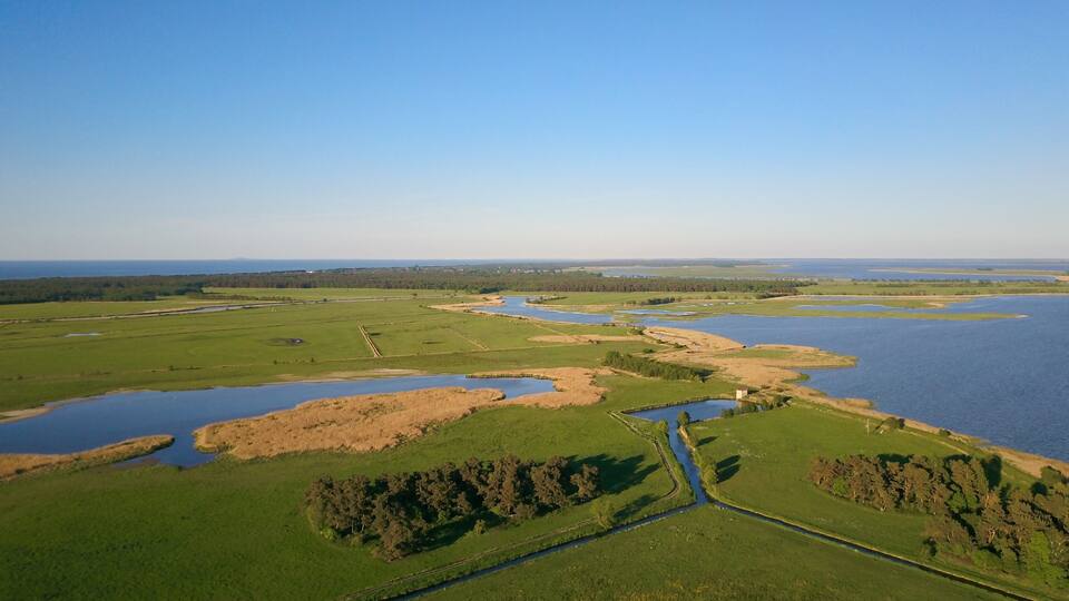 A river meandering through a green landscape with patches of water and trees.