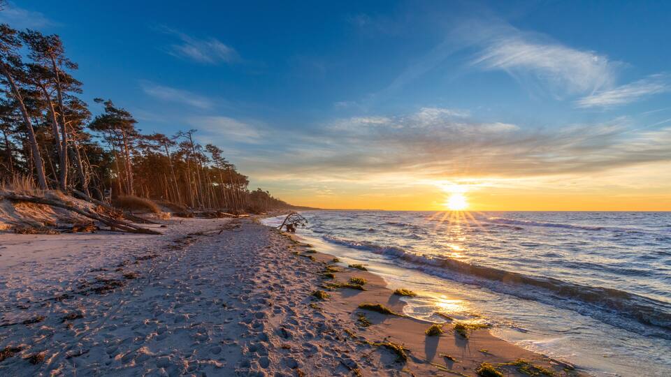A beach with a sunset, ocean waves, and a forested area.