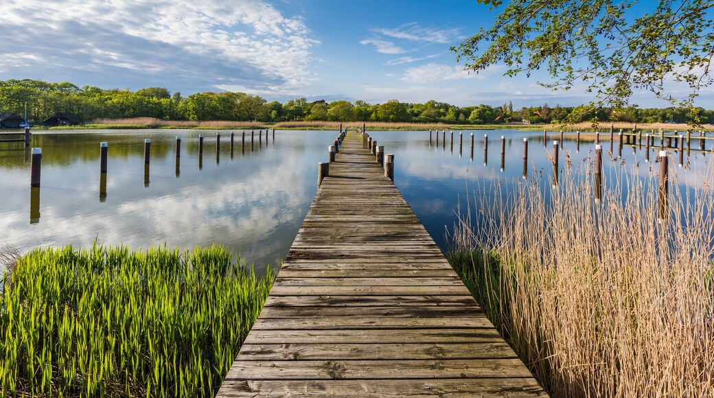 Jetty in the port of Prerow, Mecklenburg-Western Pomerania (Mecklenburg-Vorpommern), Germany