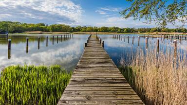 A wooden pier extending into calm water, surrounded by lush greenery and trees.