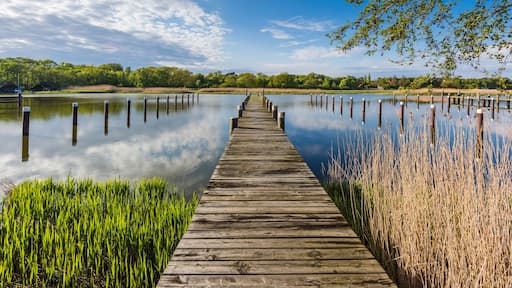 Jetty in the port of Prerow, Mecklenburg-Western Pomerania (Mecklenburg-Vorpommern), Germany