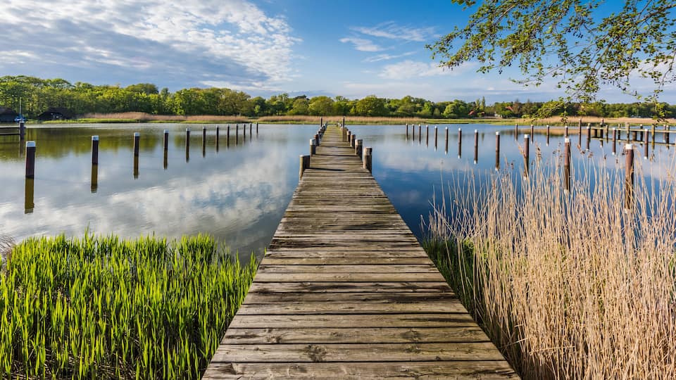 A wooden pier extending into calm water, surrounded by lush greenery and trees.