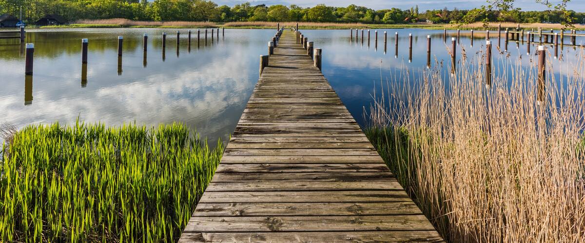 A wooden pier extending into calm water, surrounded by lush greenery and trees.
