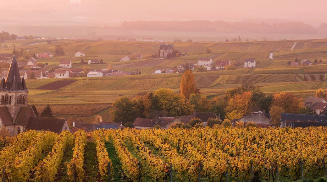Ville Dommange and its vineyards, Champagne, France