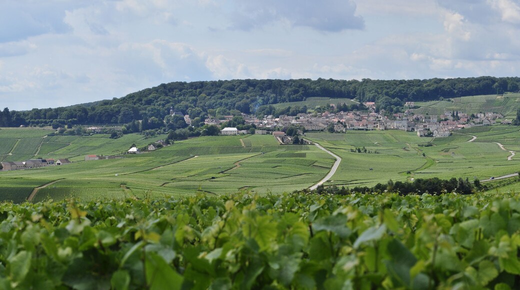 Panoramique Hautvillers