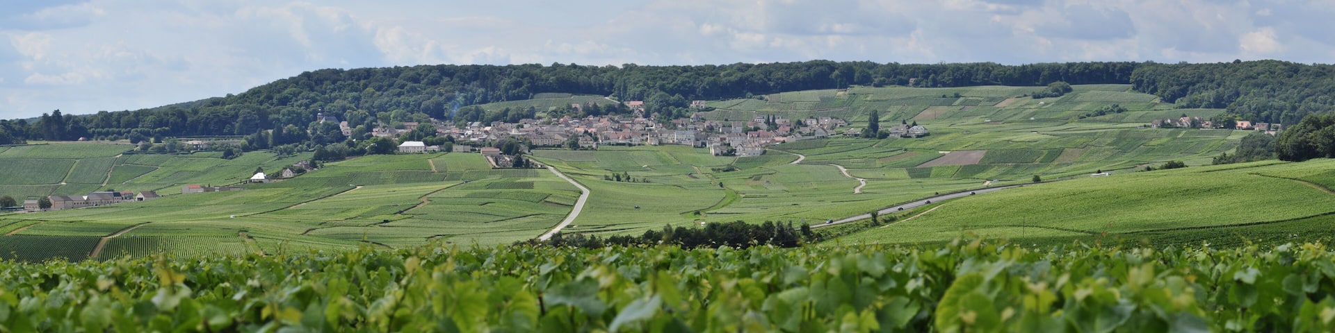 Panoramique Hautvillers