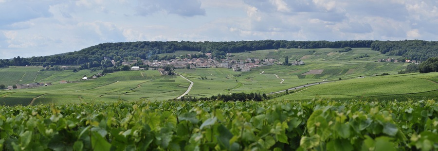 Panoramique Hautvillers