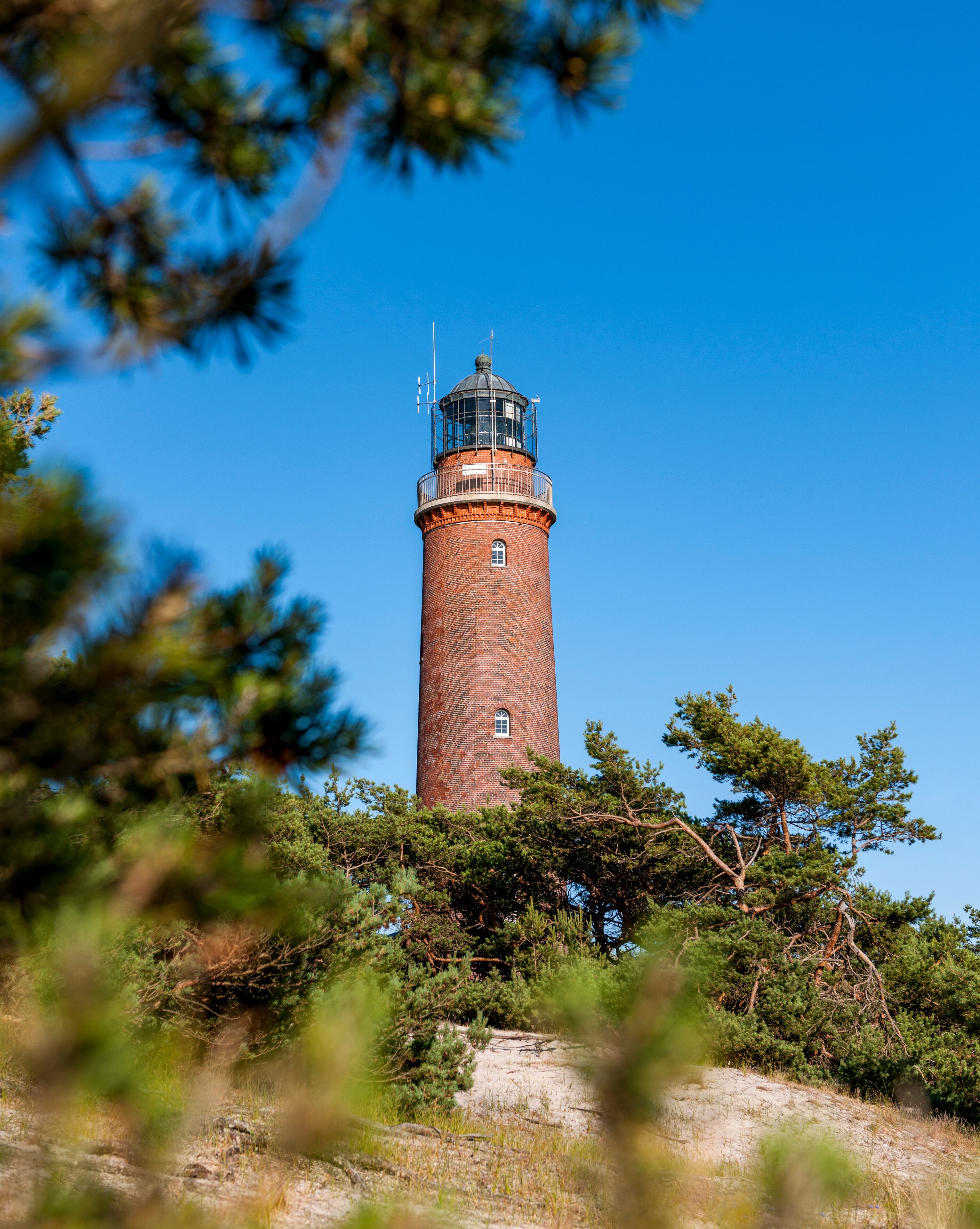 ボルン アム ダルス