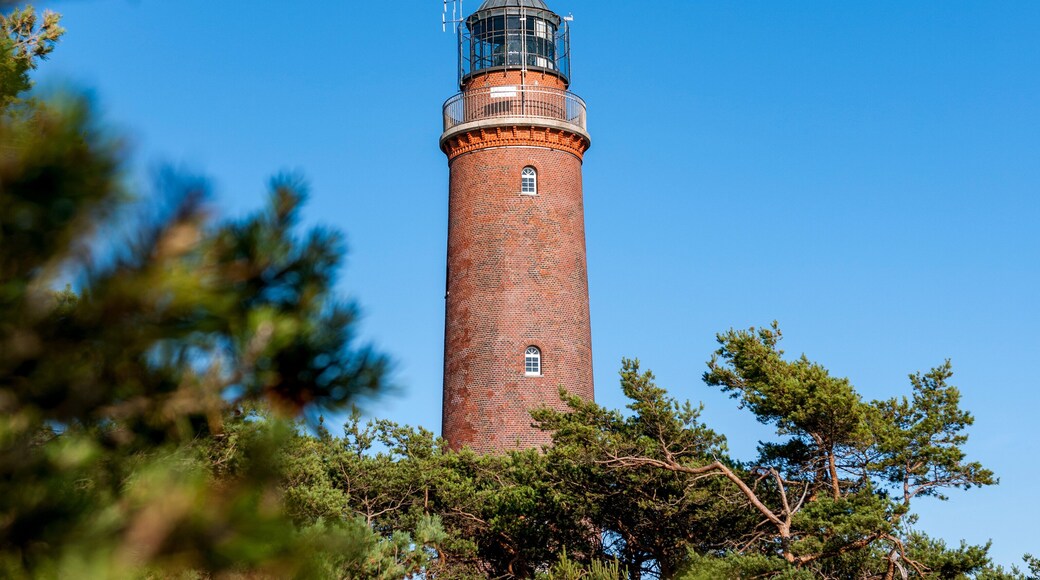 ボルン アム ダルス