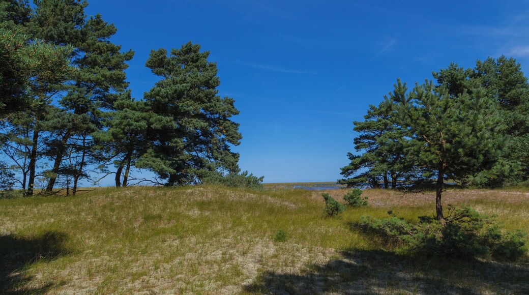 This is a picture of the protected area listed at WDPA under the ID