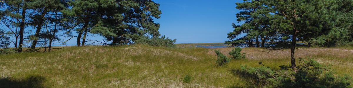 This is a picture of the protected area listed at WDPA under the ID