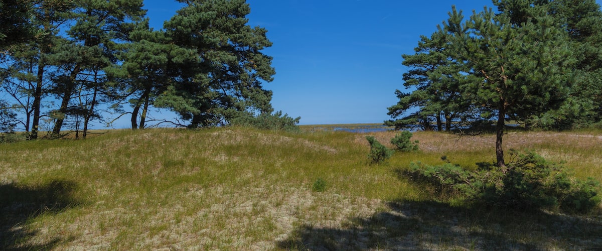 This is a picture of the protected area listed at WDPA under the ID