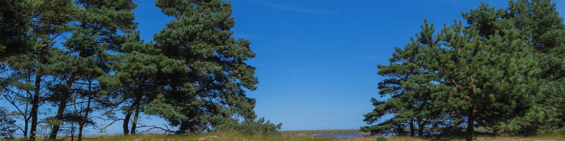 This is a picture of the protected area listed at WDPA under the ID