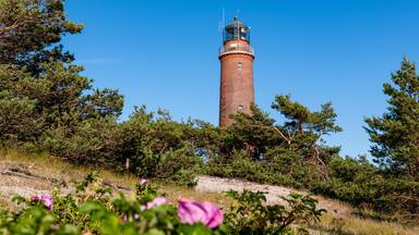 Germany, Mecklenburg-Vorpommern, Born auf dem Darss, Darsser Ort lighthouse in summer