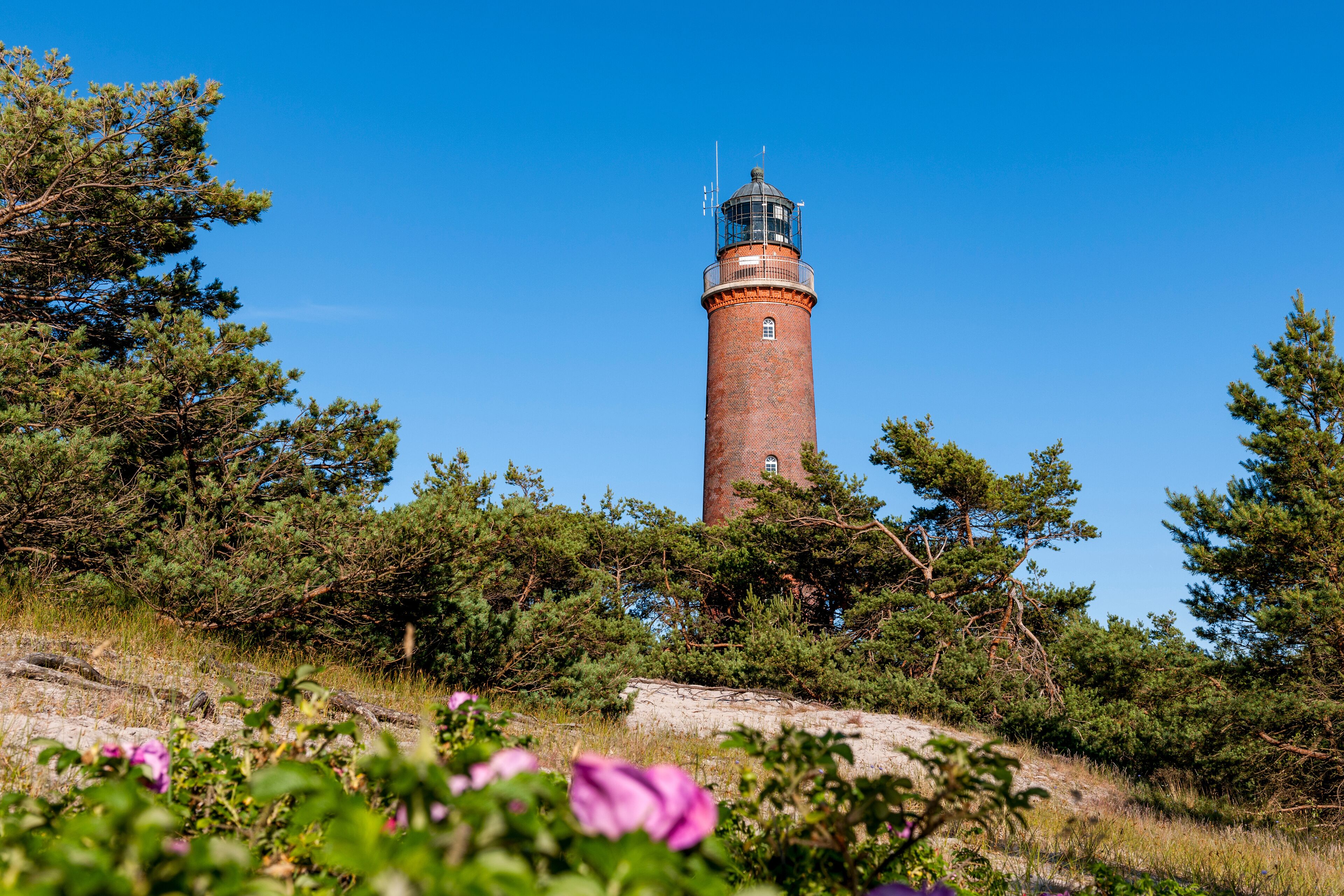 A lighthouse surrounded by trees and flowers.