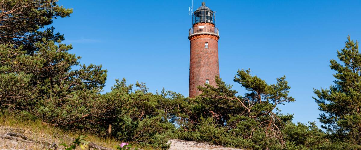 A lighthouse surrounded by trees and flowers.