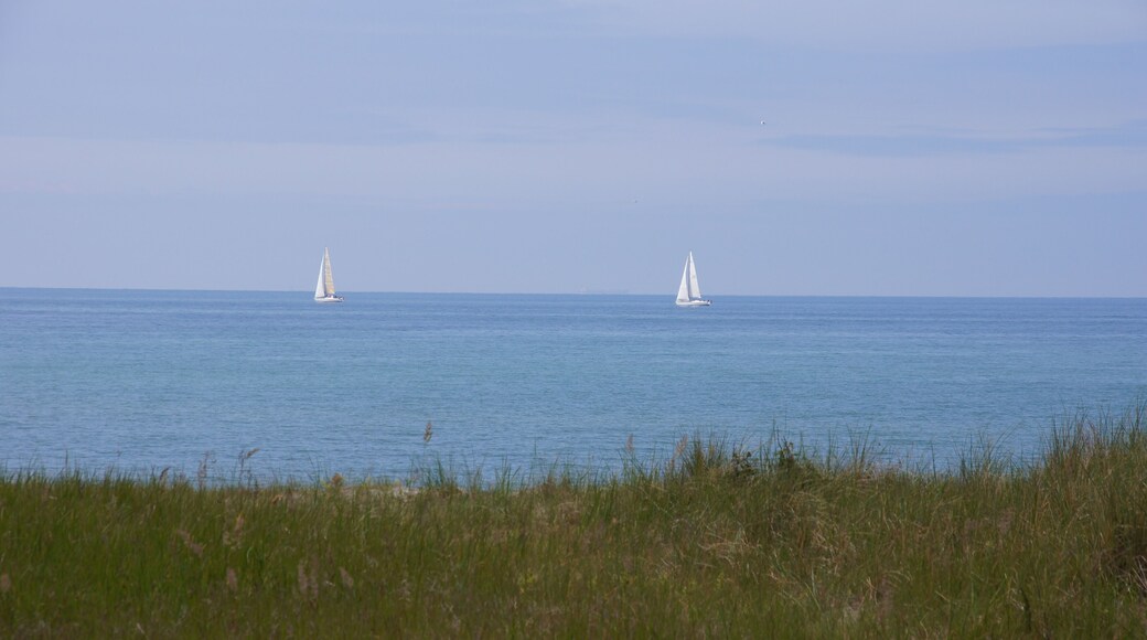 Darß - Nähe Leuchtturm